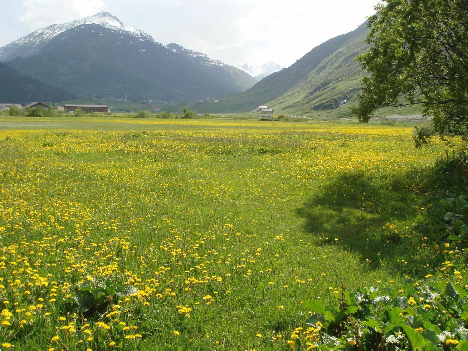 Auberge de jeunesse Skiklub Andermatt
